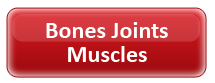 Bones Joints Muscles