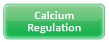 Calcium Regulation