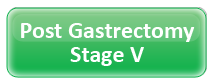 Post Gastrectomy/Stage V (1 Page)