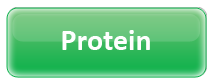 Protein