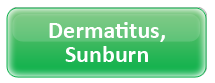 Dermatitis (Sunburn)
