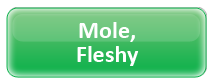 Mole, Fleshy
