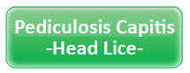 Pediculosis Capitis (Head Lice)