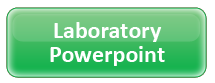 Labs Powerpoint
