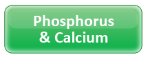 Phosphurus Calcium