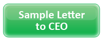 Sample Letter to CEO